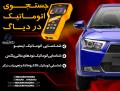 جستجوی اتوماتیک در دیاگ جستجوی اتوماتیک در دیاگ